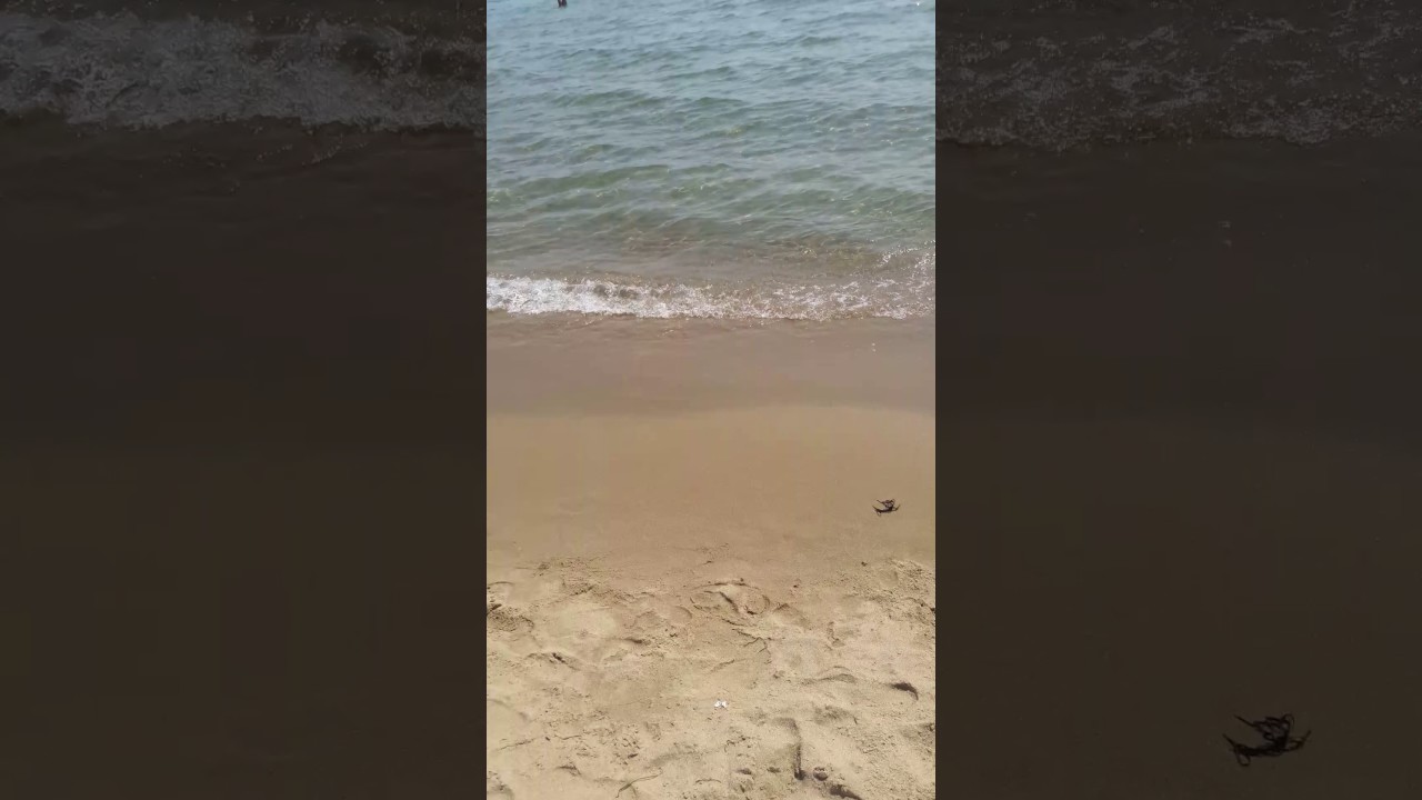 mare castellaneta marina 2016