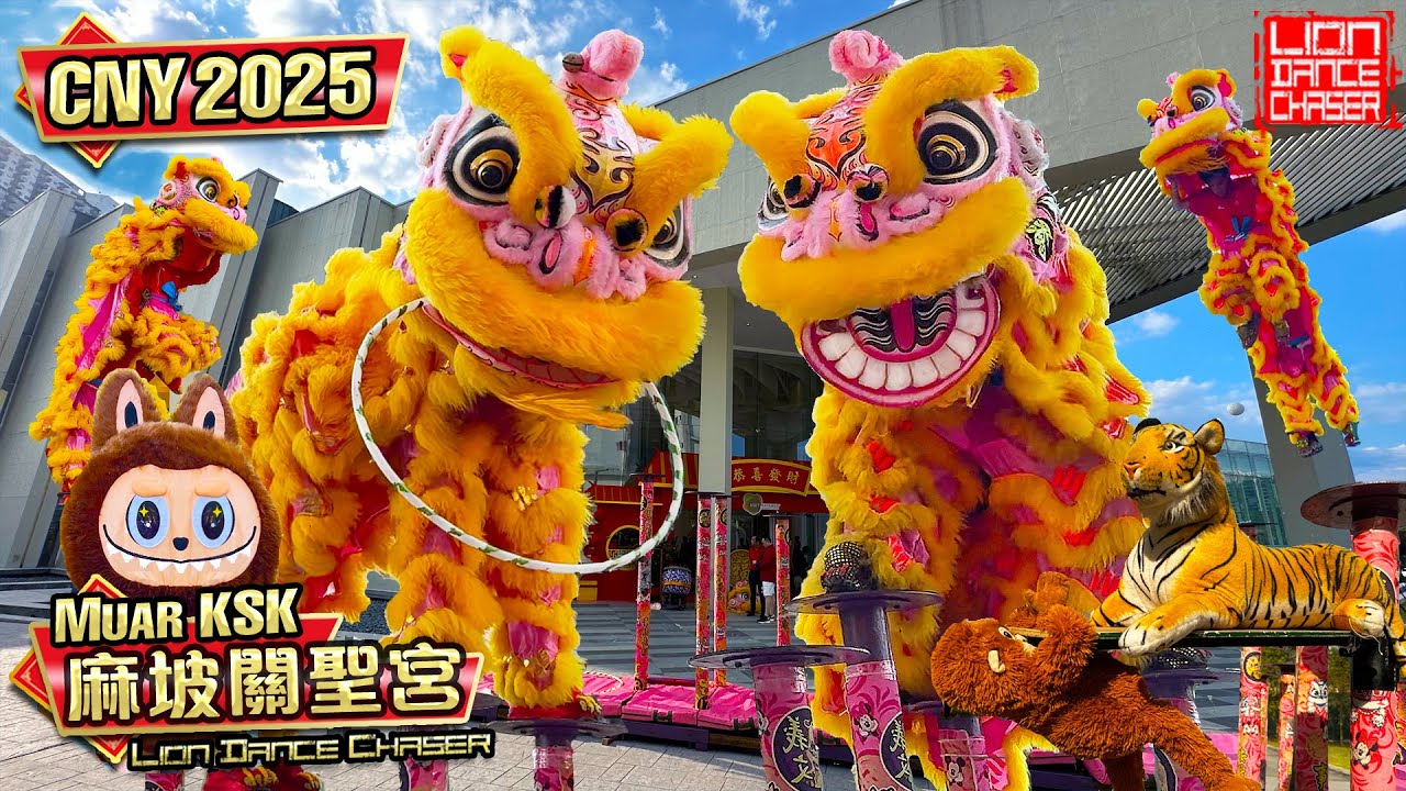 CNY 2025 | Acrobatic Lion Dance | Muar Kun Seng Keng | 麻坡关圣宫 | 高桩醒獅耍呼啦圈 | 黄金萌狮 巨型拉布布逗乐群众 | 精彩绝伦 叹为观止