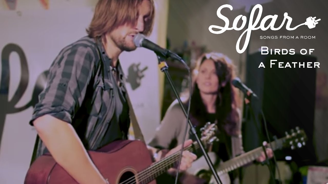 Birds of a Feather - Light up | Sofar Aarhus