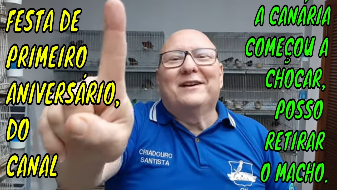 A CANÁRIA COMEÇOU A CHOCAR, POSSO RETIRAR O MACHO.