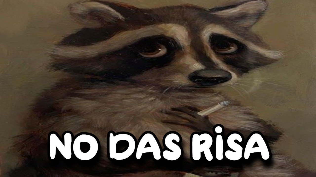 Shıtposting Compilation | V108