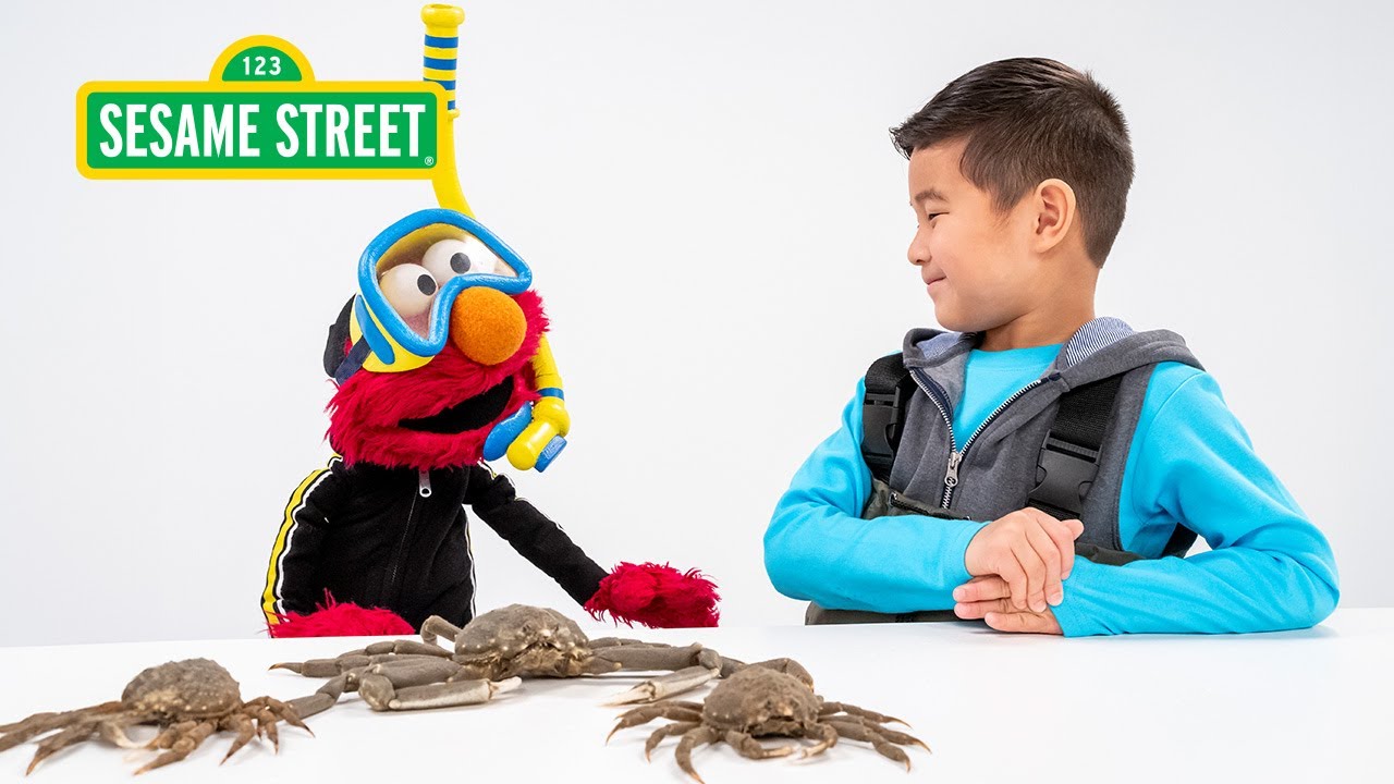 Sesame Street: Elmo and Kids Meet a Marine Biologist featuring @hihokids