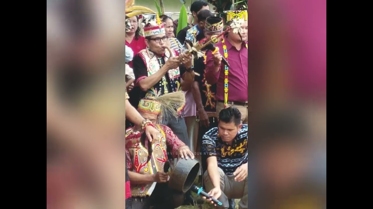 Cuplikan Gawai Dayak Kebahan, Desa Nusa Kenyikap