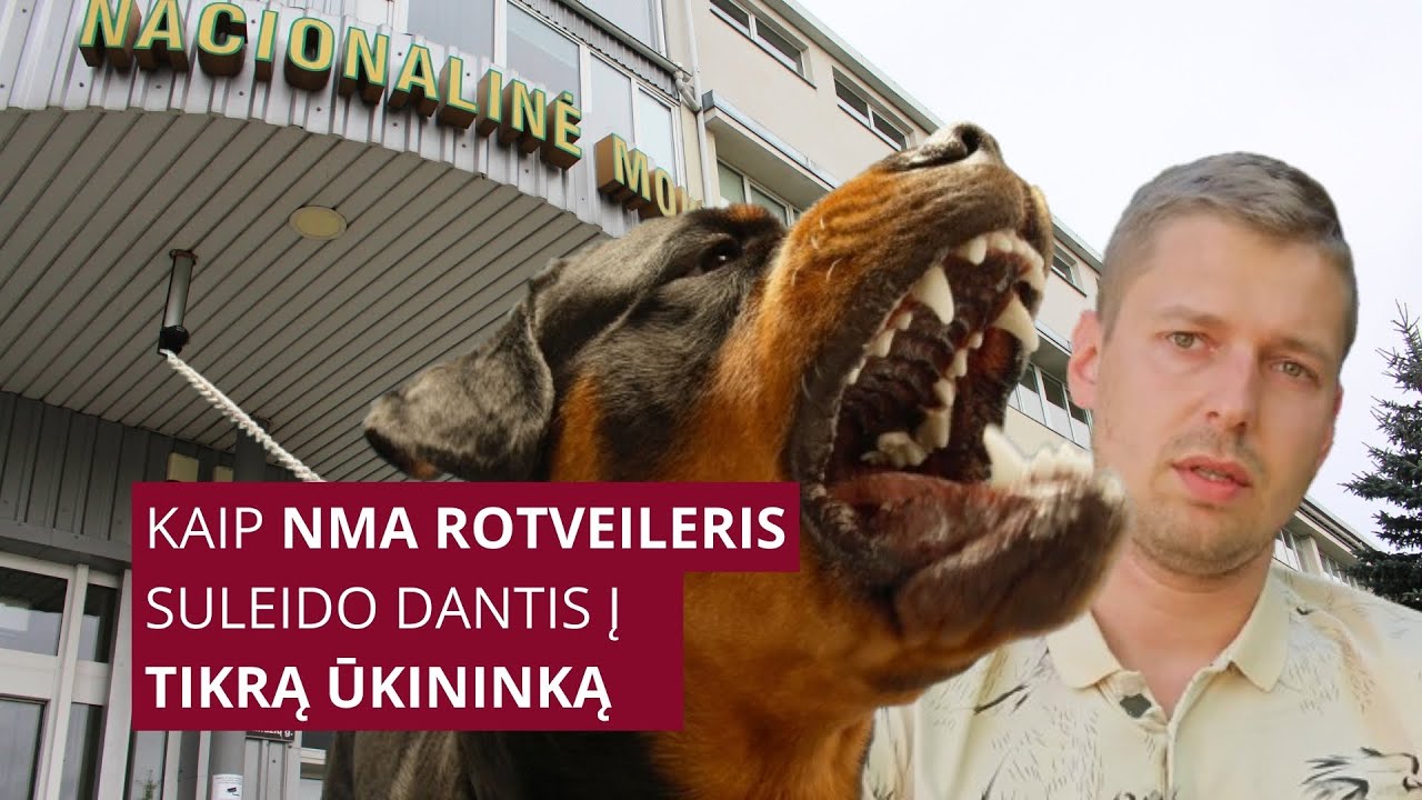 Kaip NMA rotveileris suleido dantis į tikrą ūkininką. Prarasti 27 000 eurų