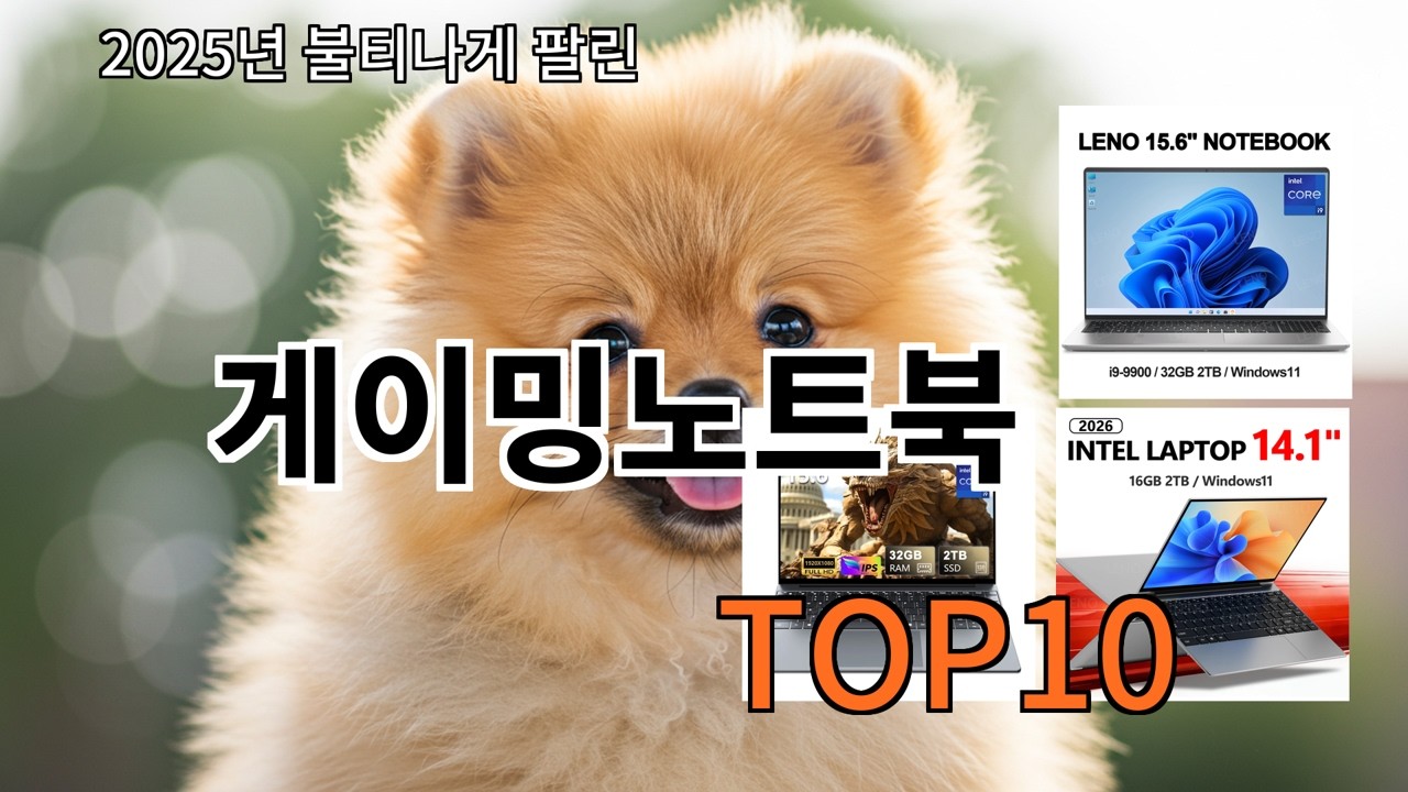 알리 게이밍노트북 실제 후기 보고 고른 알리템