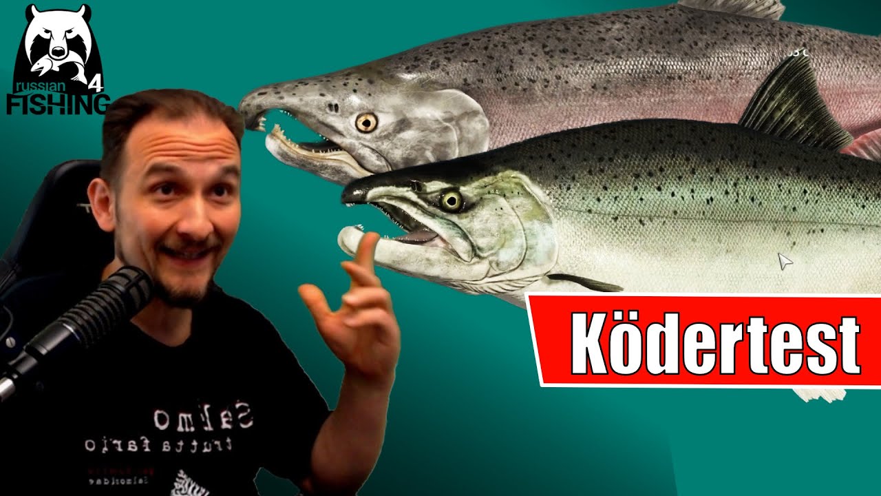 Russian Fishing 4 - Jama - Silberlachs, Masu und König