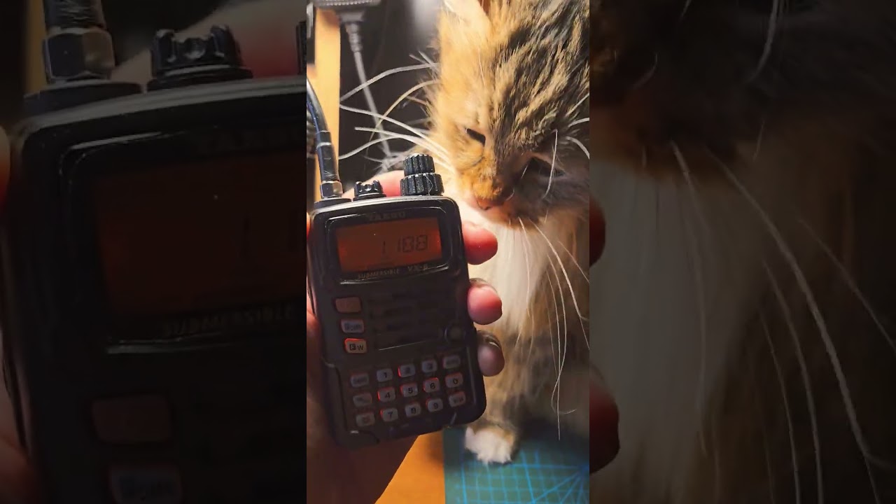 Приём Yaesu vx6r MW