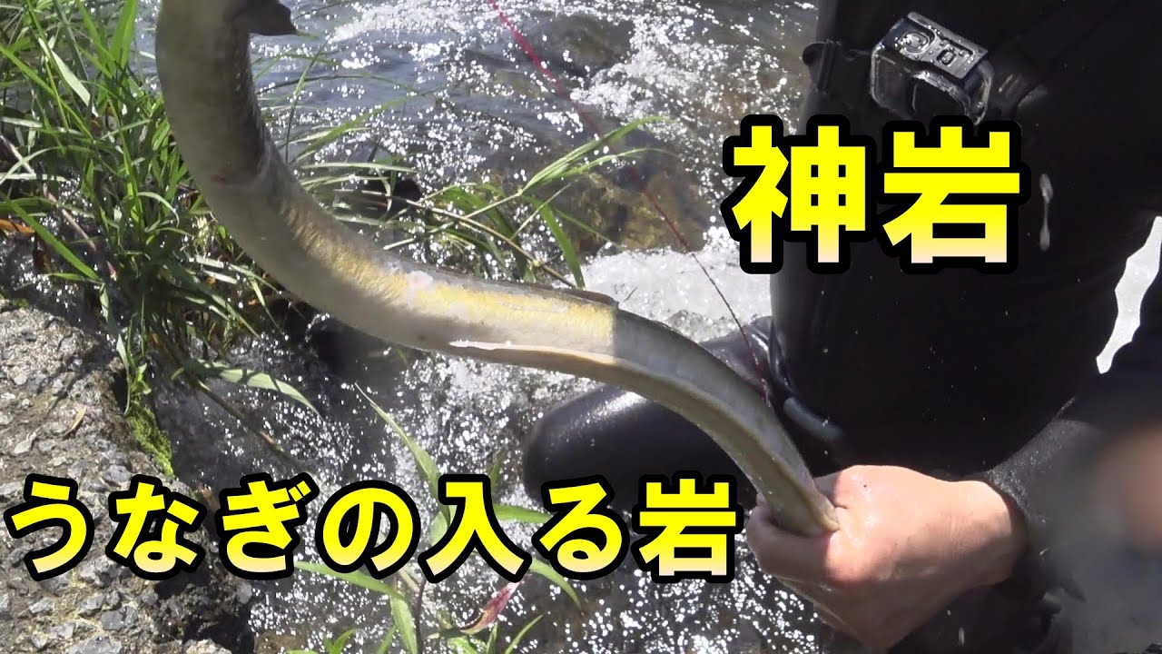 うなぎの穴釣り。毎回うなぎの入る神の岩