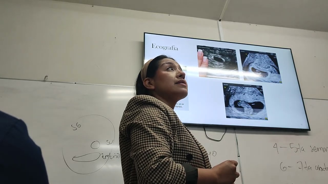 Obstetricia 2