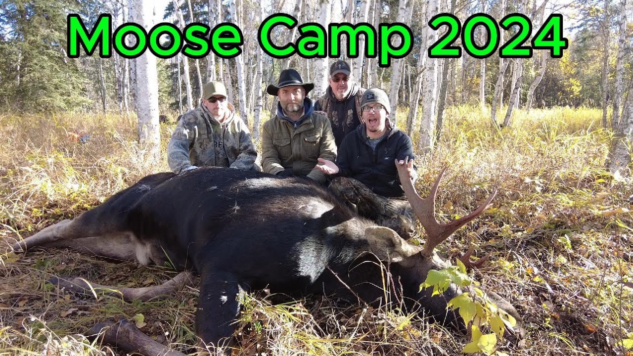 Moose Camp 2024 - Alberta Moose Hunt