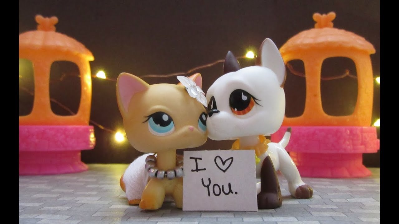 LPS: You Belong With Me {Music Video}