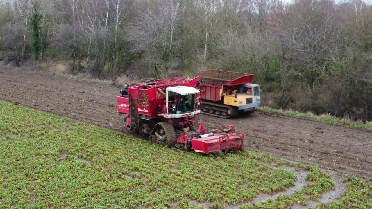 on the BEET AND TRACKS with WL HALL & SON