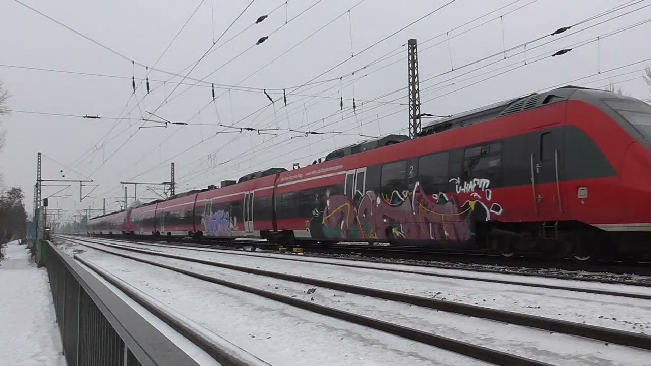 442 262 & 442 256 mit Makro als RE8 (4413)