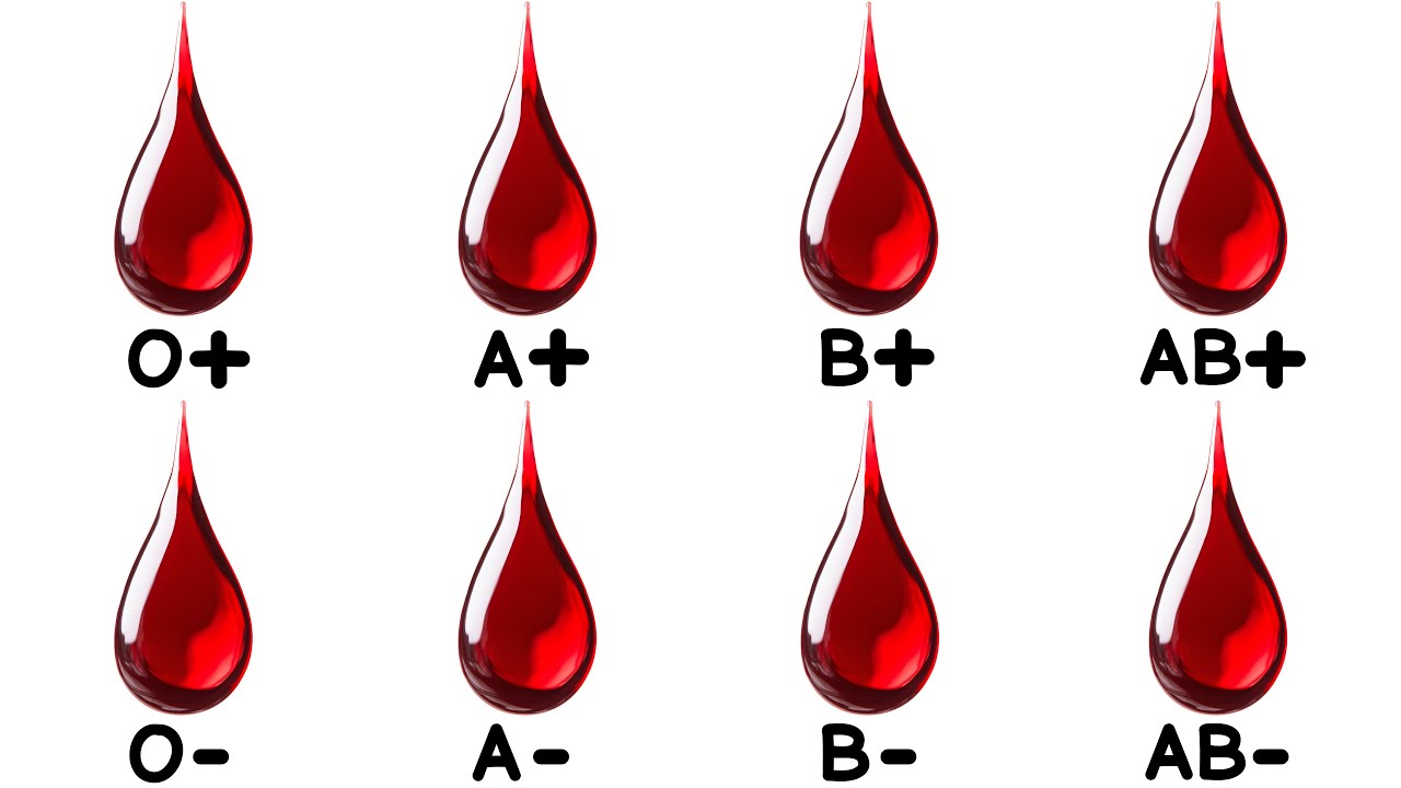 Every Hidden Advantage of Your Blood Type