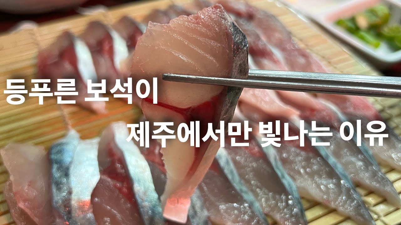 등푸른 보석이 제주에서만 빛나는 이유