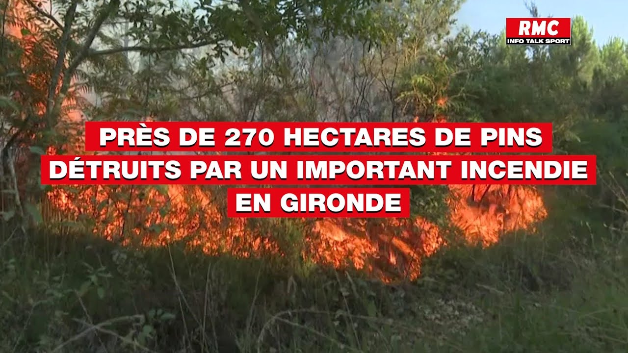 Près de 270 hectares de pins détruits par un important incendie en Gironde