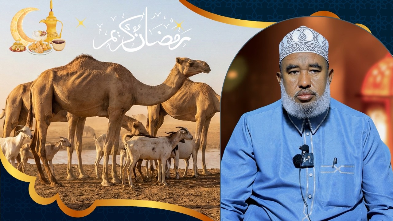 Sadaqada Waqtiga Adag: Ajarka Bisha Ramadaan iyo Gurmadka Abaaraha Sh.Maxamed Cali Gadhle