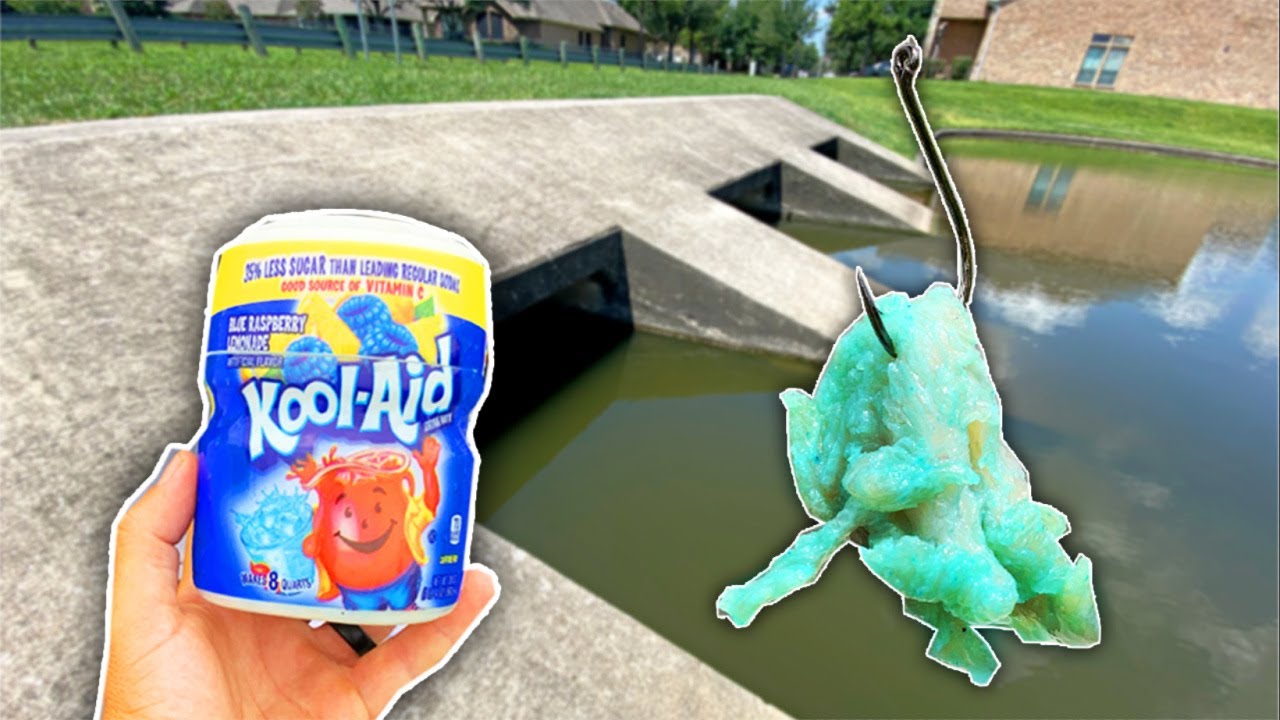 BIG Pond Fish *CAN'T RESIST* Kool-Aid Chicken Breasts! (Best Pond Bait)