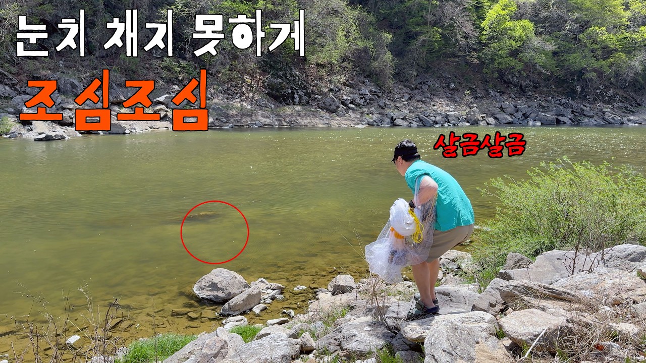 대물들이 여울로 올라온다! 투망으로 대물을 보면서 잡아보자!