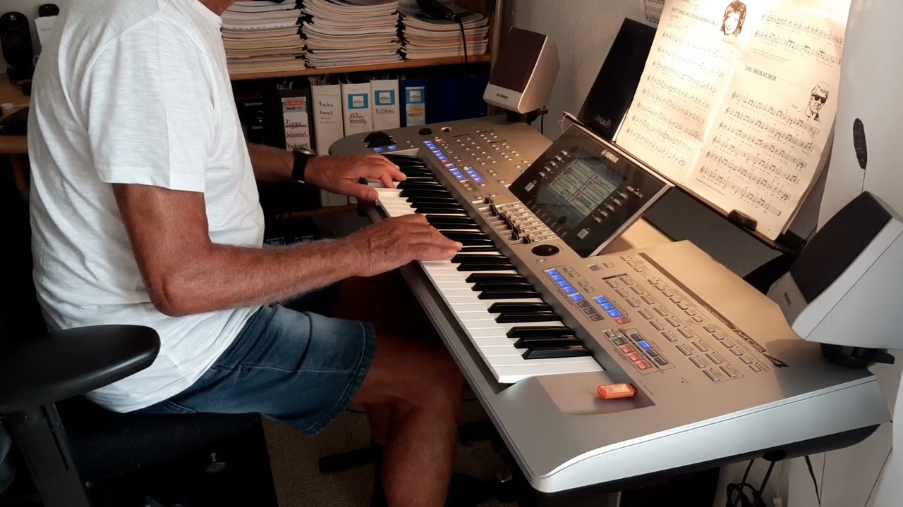 Mit der mundharmonika