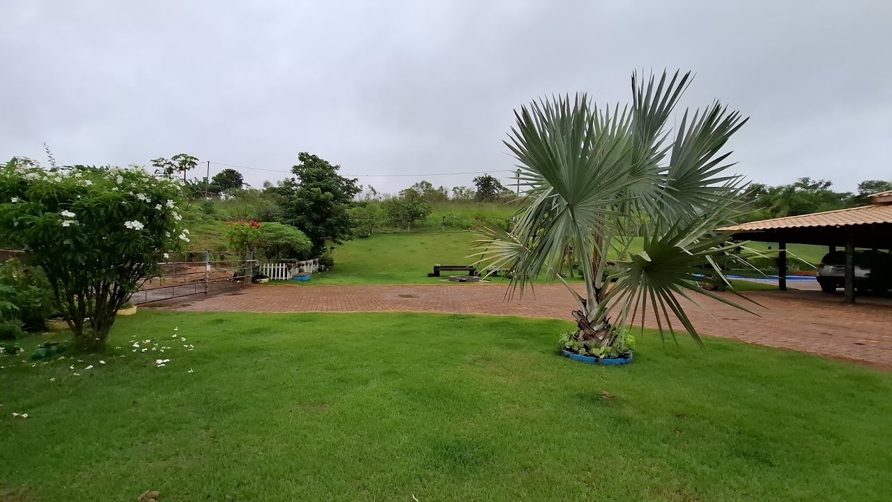 Jardim em dia de chuva!!!