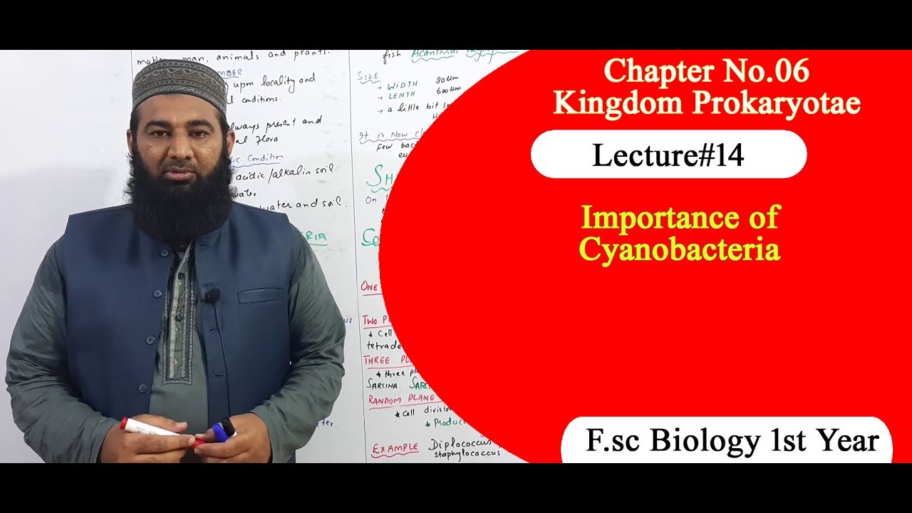 Biology Ch#06-Lecture#14 Importance of cyanobacteria  (F.Sc 1st Year)