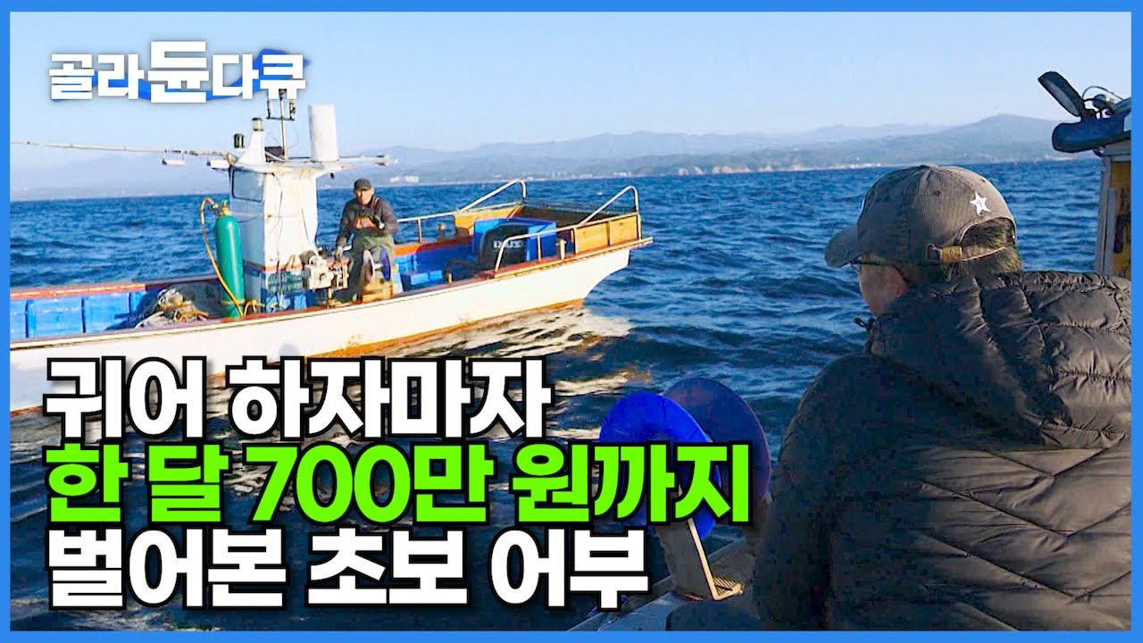 작은 배 한 척에 외줄낚시로 단독 조업, 손맛 돈맛 제대로 본 5년 차 어부가 말하는 귀어┃어부 하자마자 혼자서 월 700만 원까지 벌어본 초보 어부┃바닷가 사람들┃#골라듄다큐