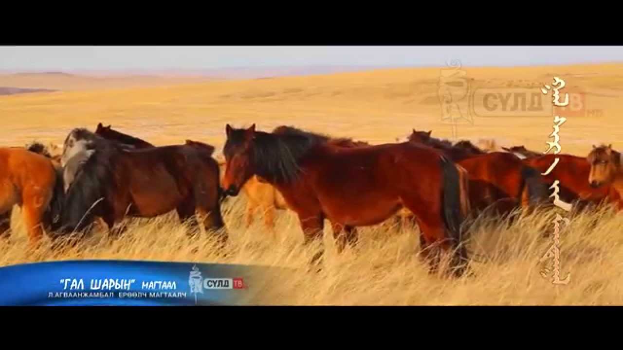 ГАЛ ШАРЫН МАГТААЛ (GAL SHARIIN MAGTAAL )