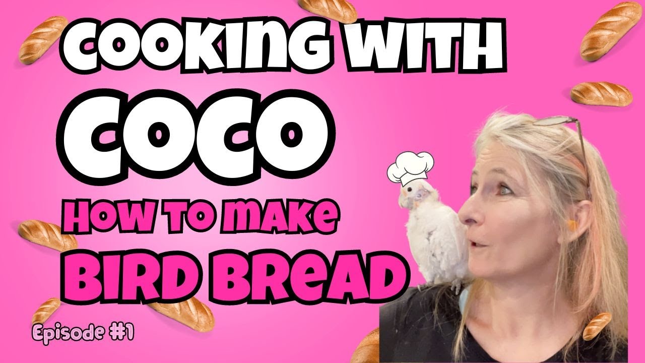 EASY  Bird Bread Recipes For ALL Parrots ~ How to make Bird Bread 🍞🥣