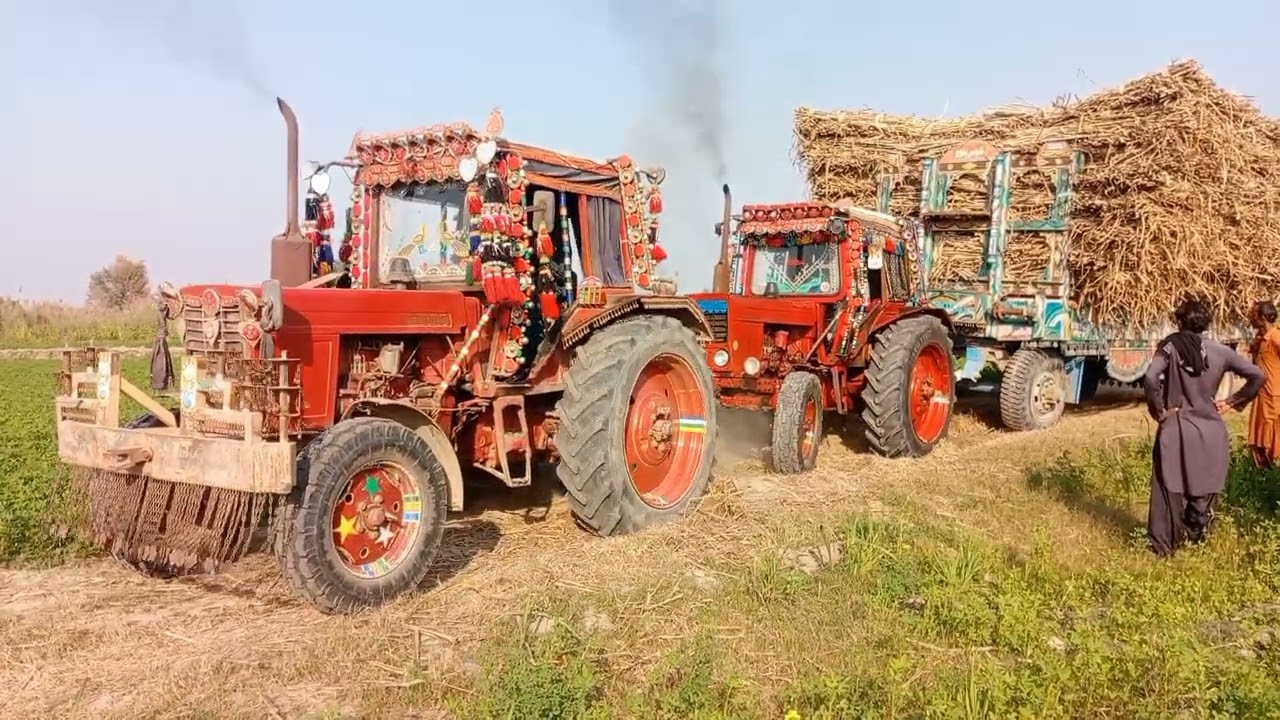 2 Belarus🚜 tractors pulling trolley😅| Jahan pr bhi trolley khari krte waheen phans jaati😂