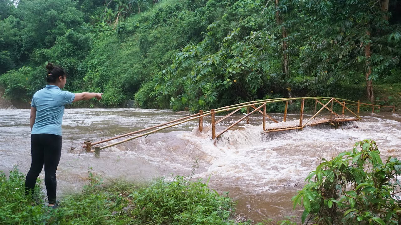 200 Days Farm Building TIMELAPSE: Repairing bridge was swept away by heavy flood. Farm Life