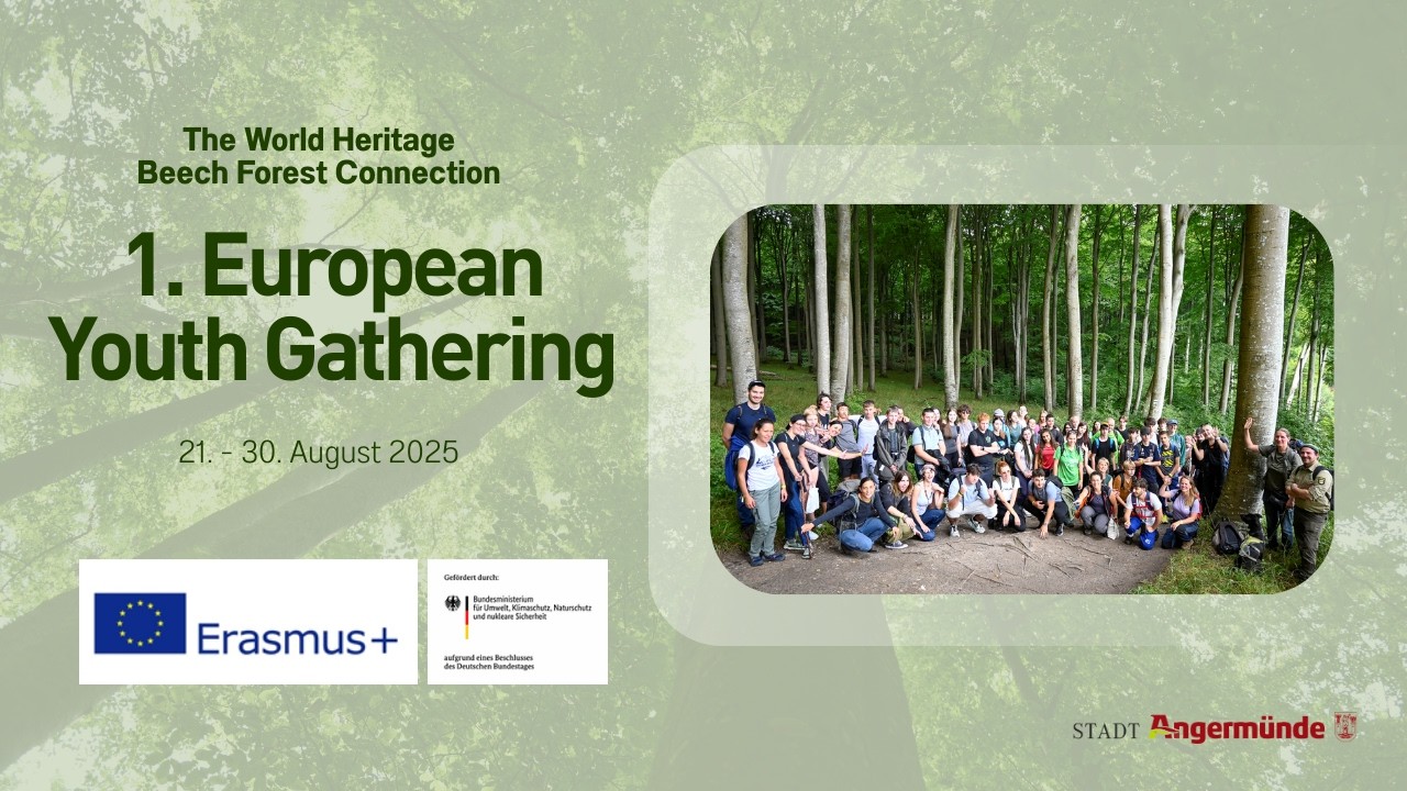 International Youth Gathering - Active Youth for Joint UNESCO World Heritage European Beech Forests