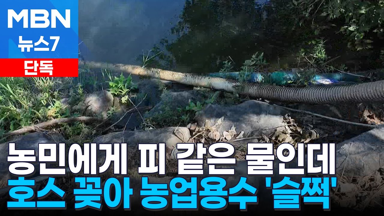 [단독] 
