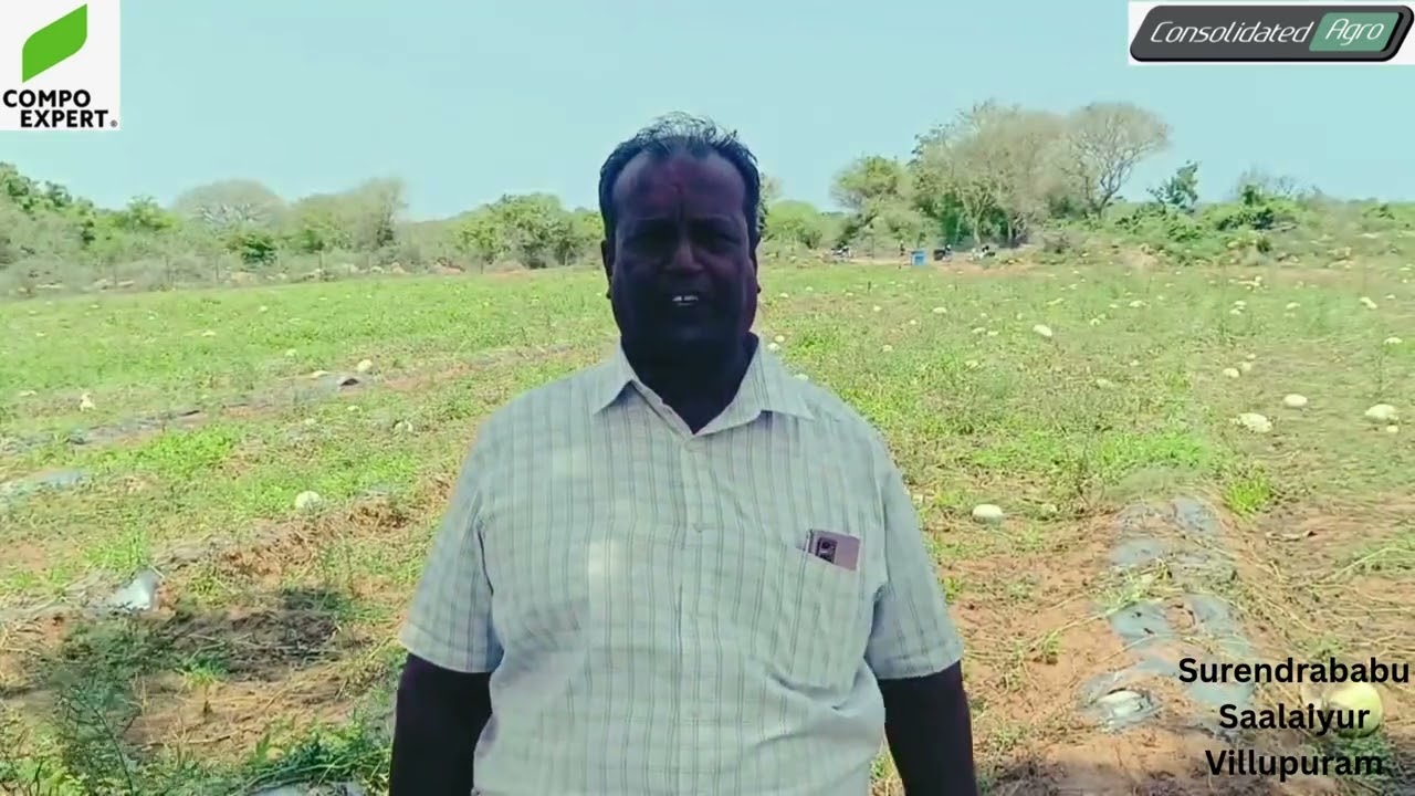 Watermelon- COMPO EXPERT Fertilizer