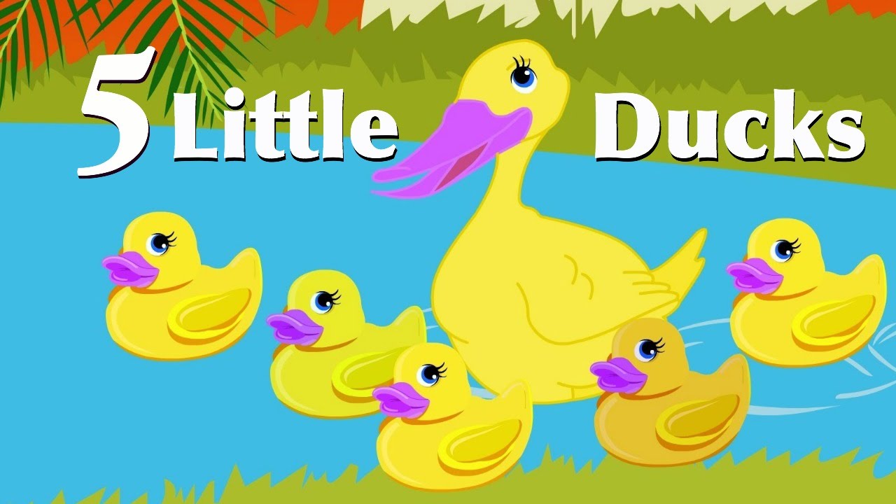Five Little Ducks | Nursery Rhymes For Kids | CDS Kids Tv