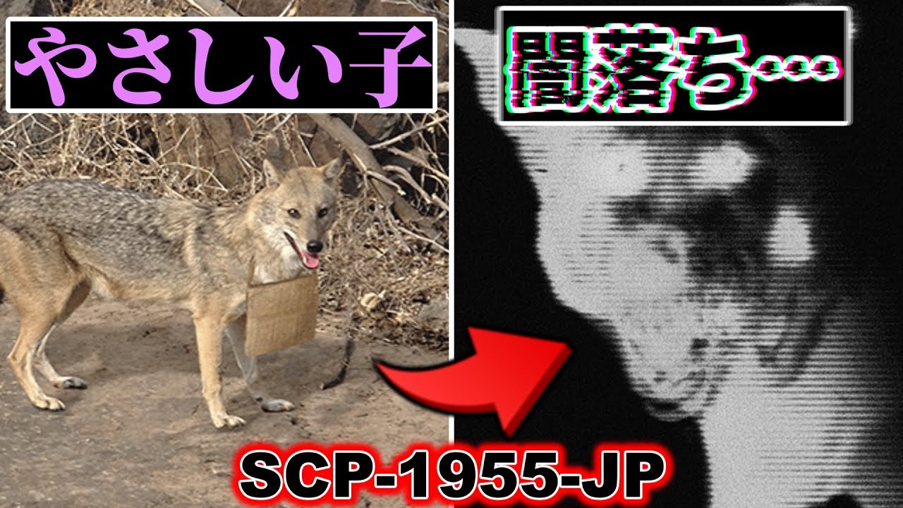 【ゆっくり解説】胸糞注意…要注意団体からの贈り物!_だけど… SCP-1955-JP やさしい子