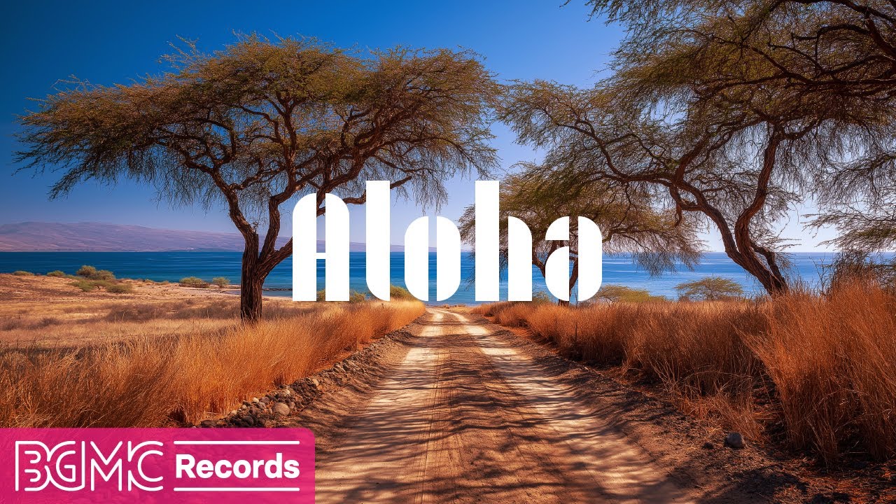 Hawaiian Music for a Serene Drive | Calm Acoustic Guitar Flowing with Island Breeze