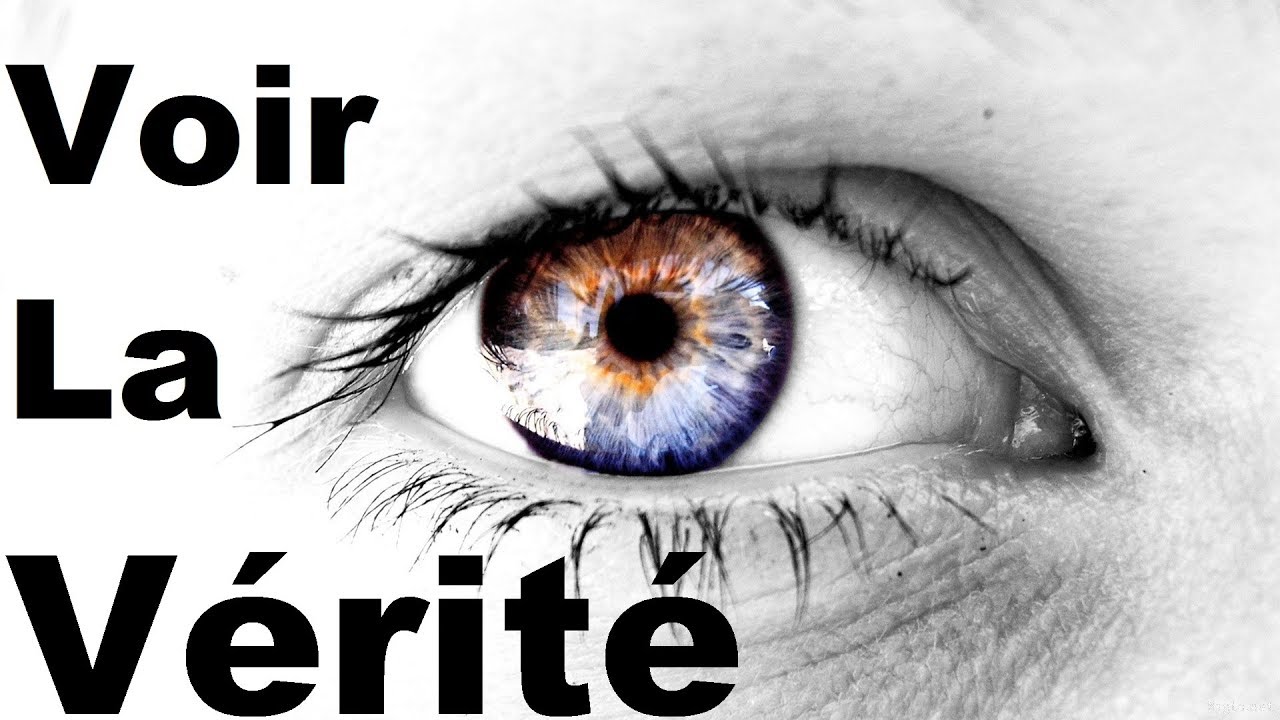 Intelligence sociale 2 - Reconna&icirc;tre &eacute;motions et mensonges