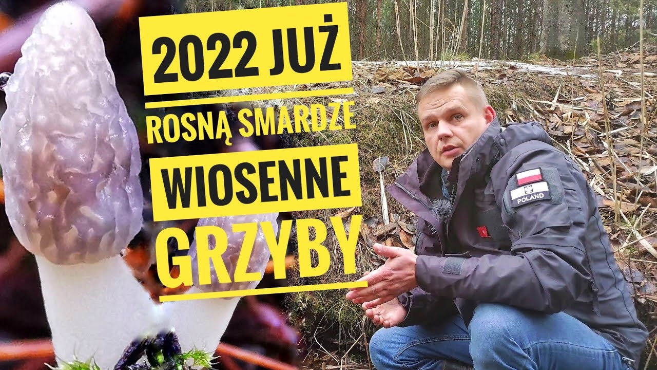 2022 Grzyby - Malutkie smardze i kilka ciekawostek w lutym.