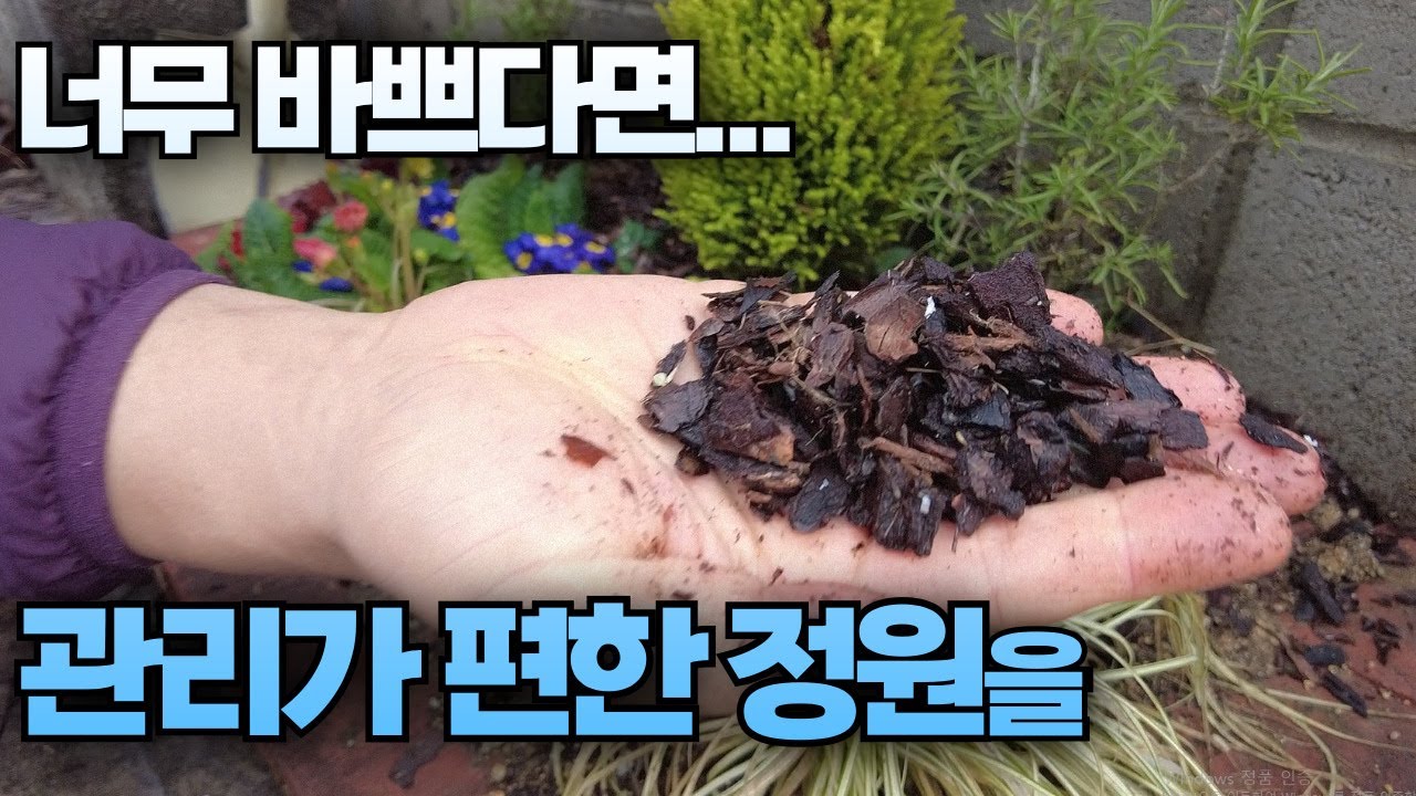 잡초가 무서워 정원 만들기를 포기한 분들 보세요