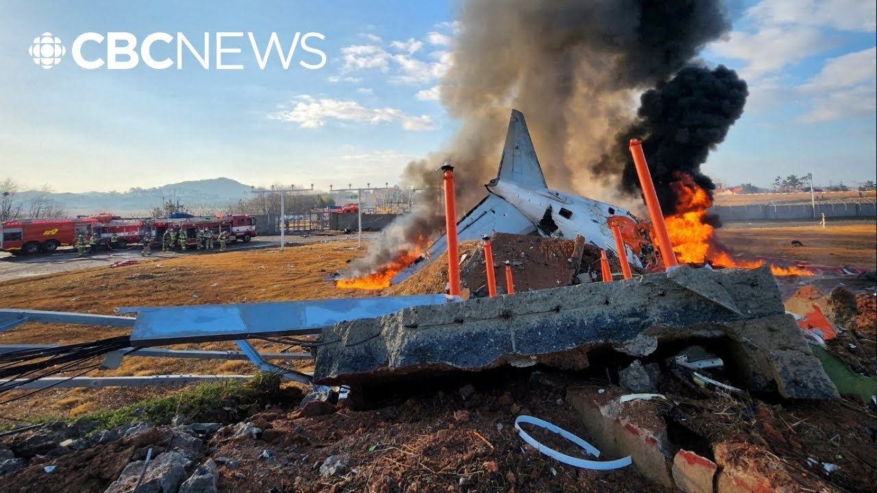 Plane bursts into flames after skidding off runway at South Korean airport