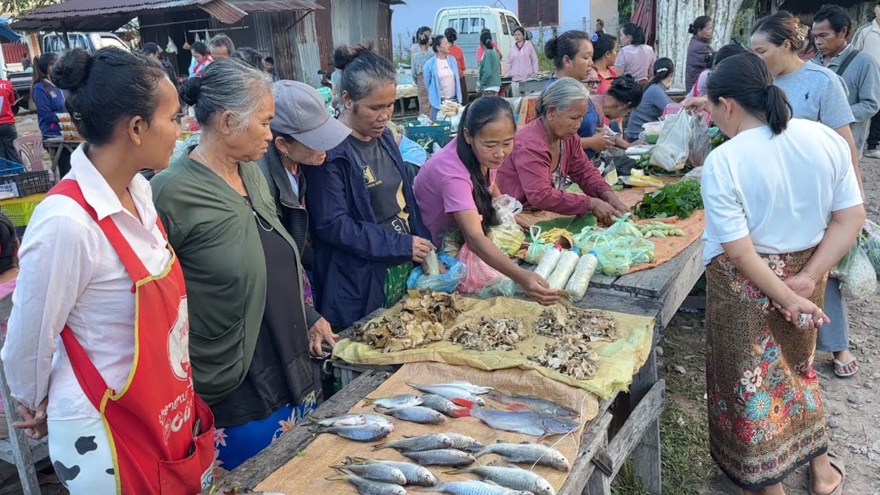 ການຄ້າຂາຍຊາວບ້ານດອນໂຂງ/การค้าขายชาวบ้านดอนโขง/Lao local trade in Kong Island