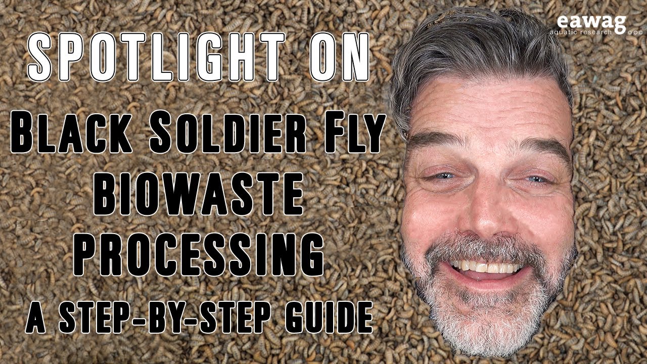 3.11b Spotlight Video - Black Soldier Fly Biowaste Processing
