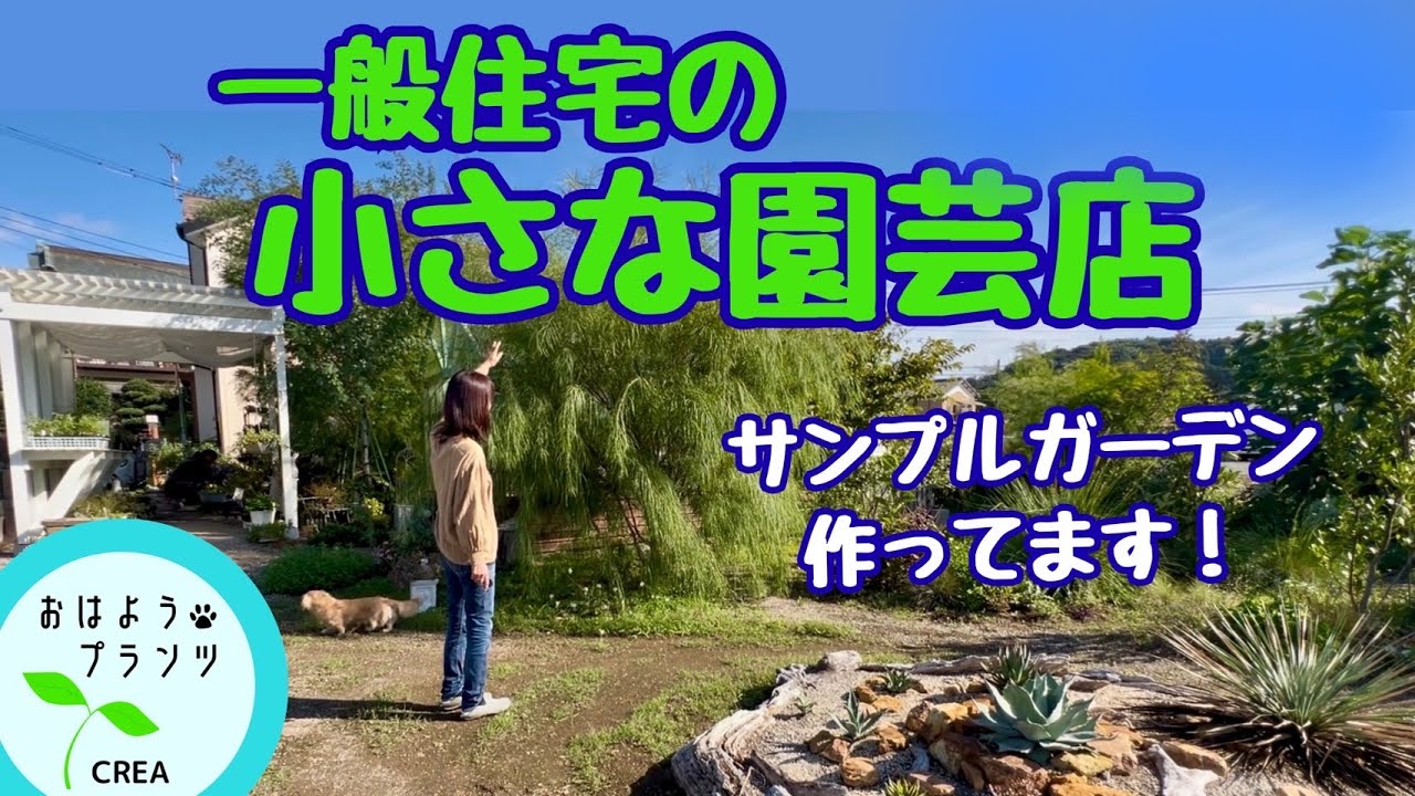 【秋の庭】小さな園芸店の手作りガーデン公開🌿実際に植えて育てた植物の今！【2025.9.22 No.82】