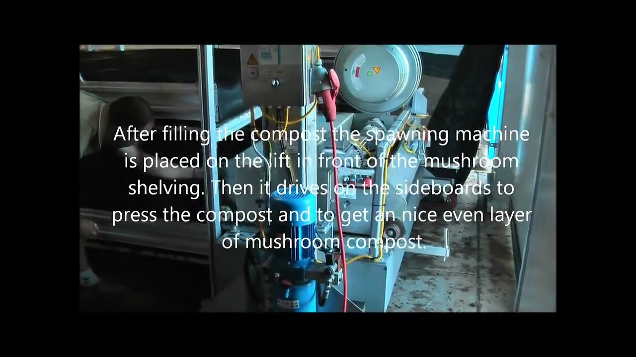 Mush Comb Mushroom Machinery  Successful Filling of Compost with Basic Mushroom Machinery