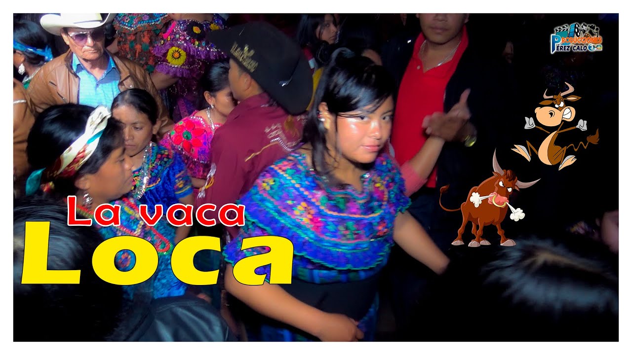 ✅ Xoyita Musical. Mosaico: La vaca loca/pelón. @ProduccionesPérezCalo Cubulco, B.V. Noviembre, 2023.