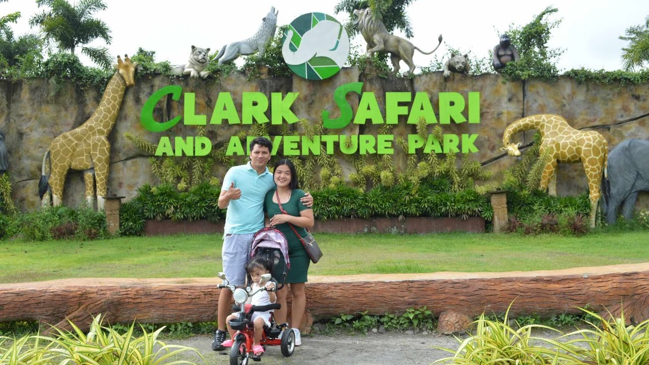 Celebrating our 11th anniversary in the zoo
