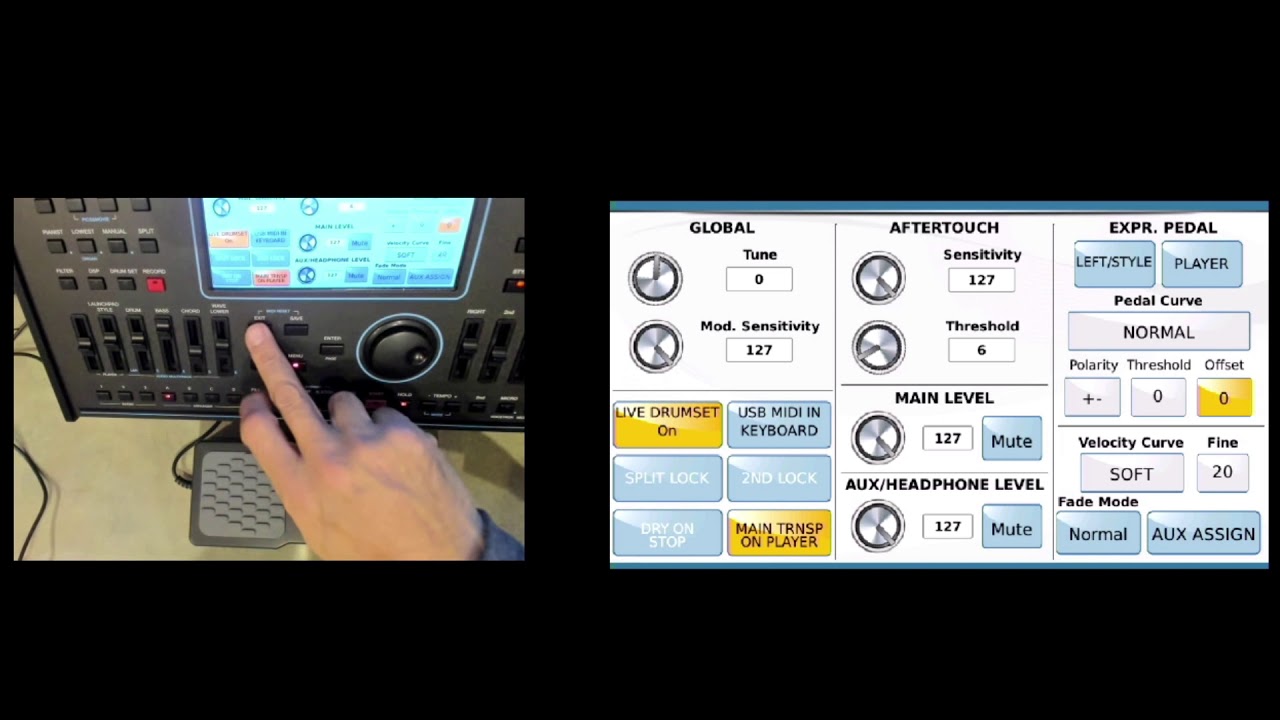 SD90/9 Expression Pedal