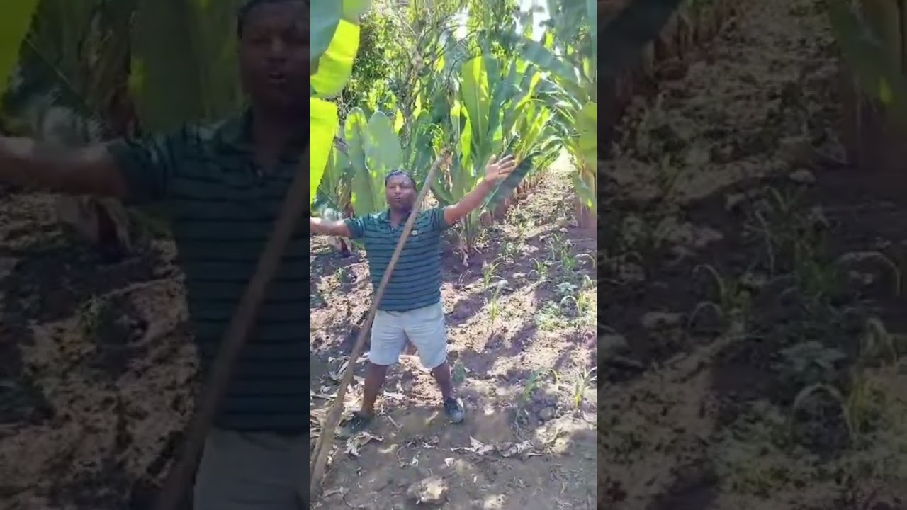 የመስቃንኛ ሙዚቃ የወራሽ ሰመሌ አርቲስት አንዋር መሀመድ anwar mohammed