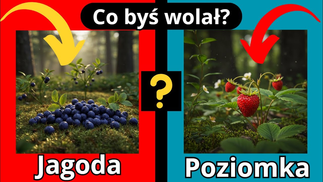 Co Wolisz Edycja Owoce | Quiz